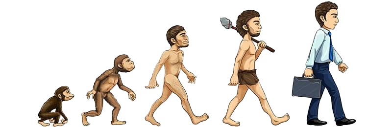 evolutie men s